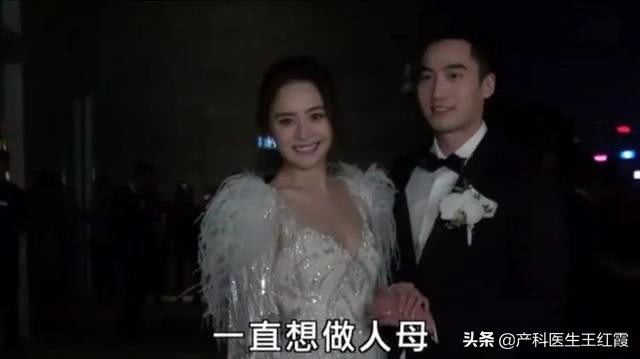 阿娇冷冻卵子,阿娇自曝怀孕冻卵