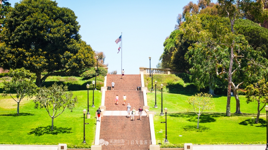 美国加州大学ucla录取条件,ucla加州大学洛杉矶分校女篮