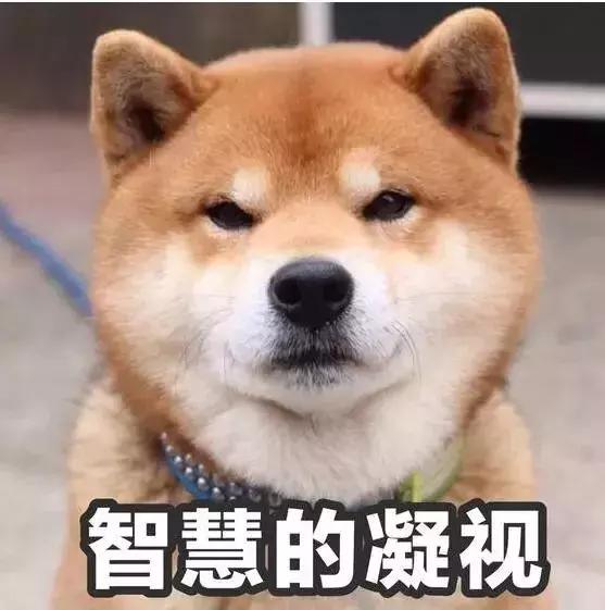 北京到兰州的飞机票特价机票,北京到海口飞机特价机票