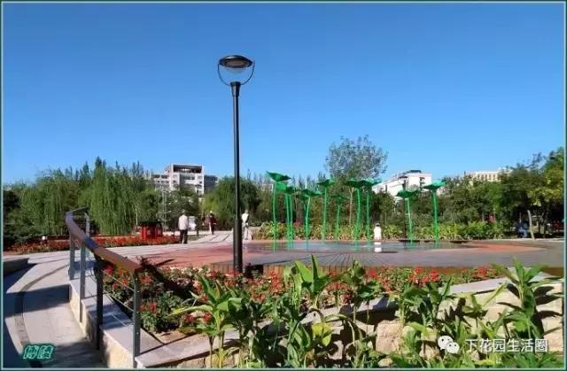 芳华70,芳华70年代的回忆