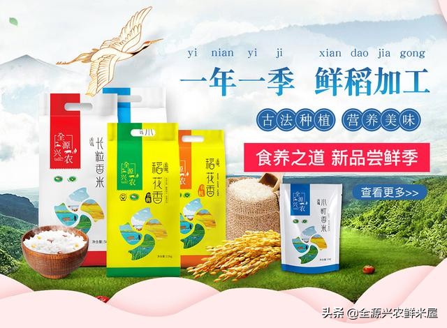 吉林大米比五常大米更好,吉林大米的特点