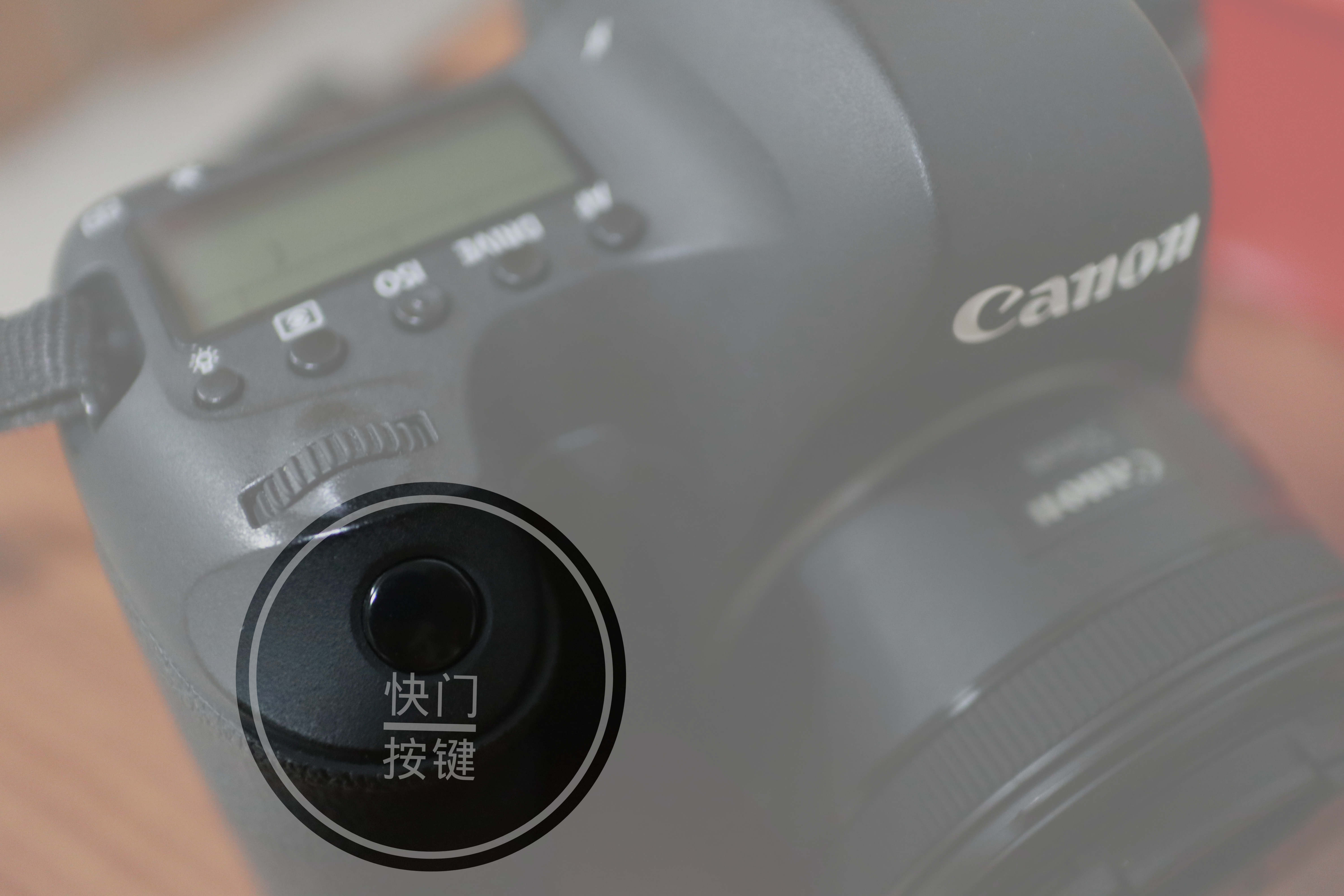 没有触摸屏的相机怎么能快速对焦,单反相机如何固定跟踪对焦