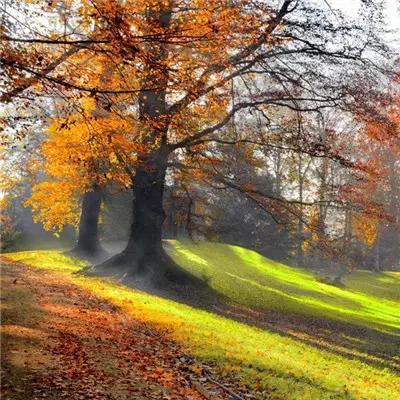 薛姓头像2020最火微信头像,2020年最招财微信头像图片大全