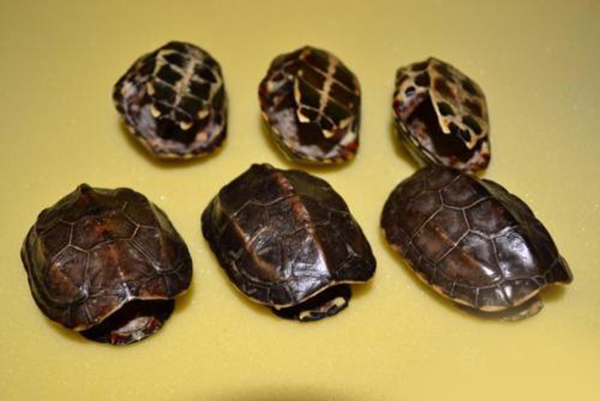 国学易经小常识,国学易经八卦入门