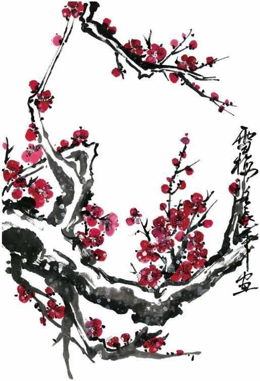 国画梅花上的雪画法步骤教程视频,零基础国画入门画梅花教程