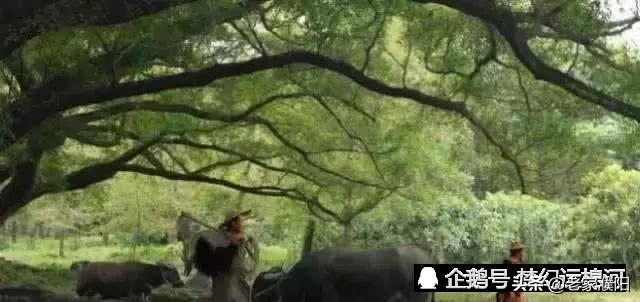 濮阳县各乡镇地名由来,濮阳最早出现的地名