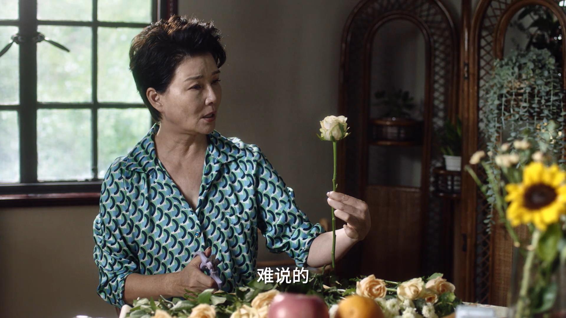 小舍得南俪反省是哪集,小舍得南俪发现真相