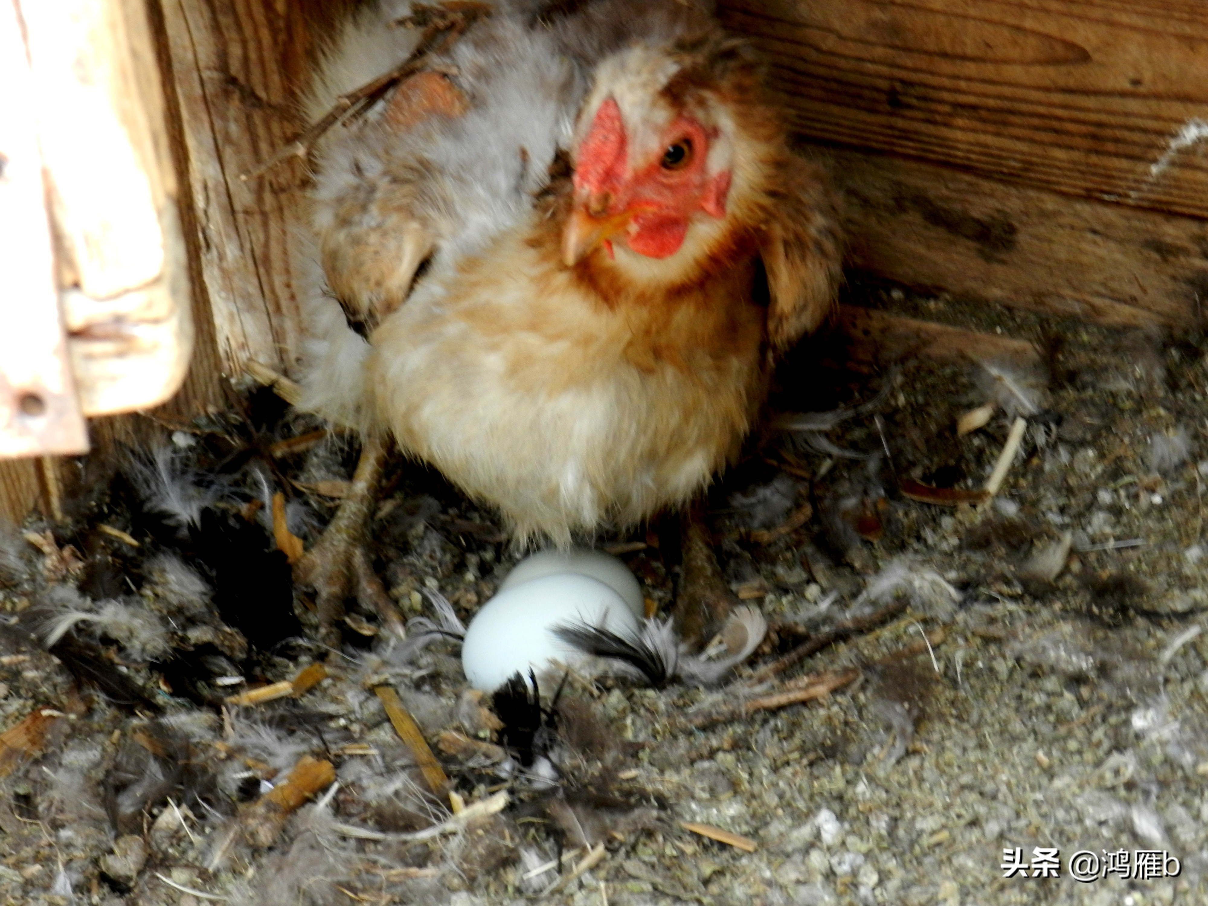 本溪小众秘境,本溪神秘山村