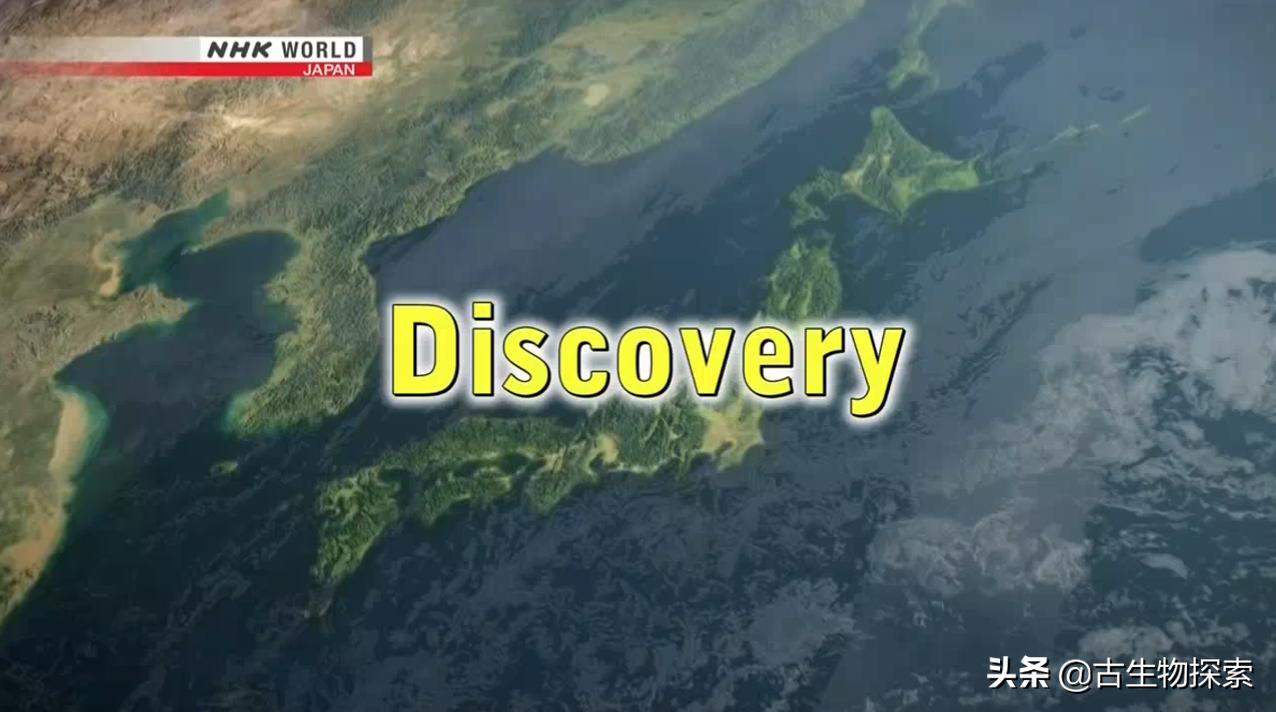 日本第一次在本土发现恐龙化石,发现最不完整的恐龙化石