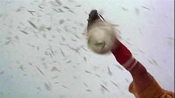 他又上热搜了,这次是因为生日