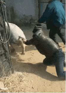 搞笑的冷笑话最好能笑死,非常搞笑的冷笑话大全