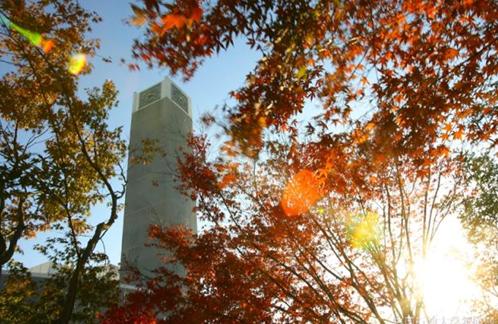 中国石油大学华东实力,中国石油华东实力