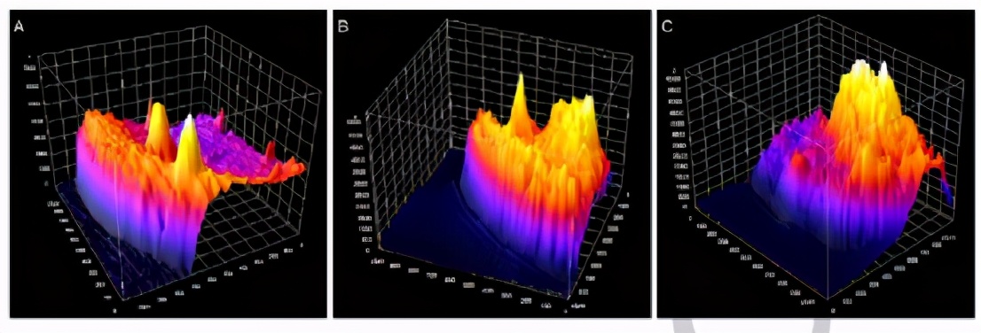《Angew》混合淀粉样蛋白的氧化还原水凝胶用于生物电催化H2氧化