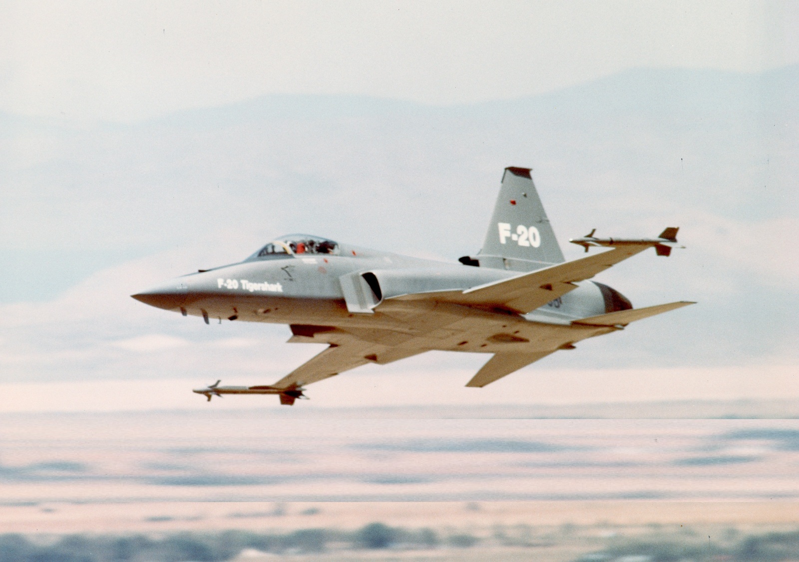 极富悲剧色彩的虎鲸,虎鲨悲剧