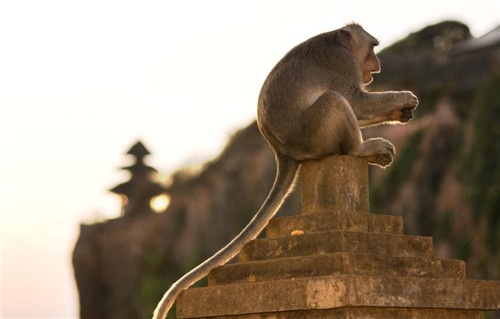 国内游客在国外被侵犯,中国游客去国外旅行被遇到抢劫犯