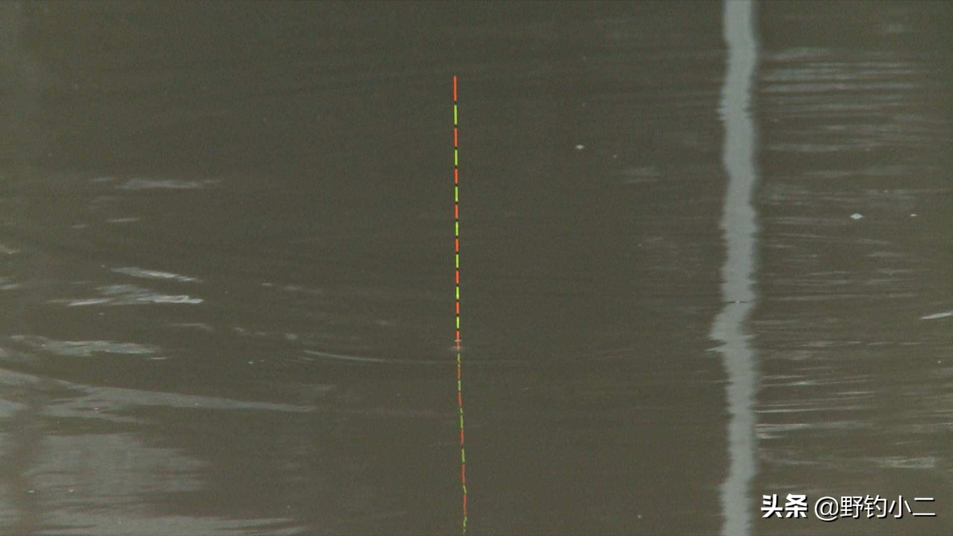 钓鱼抓口现场教学,钓鱼抓口视频大全