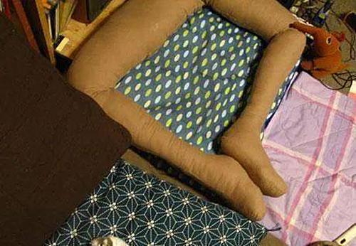 主人网购了个假肢，终于不用受猫咪折磨了：这下可算解脱了