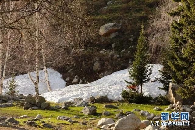 大美*疆新**欢迎你‖看哭了。支教老师八千字长文：再也没去过阿勒泰