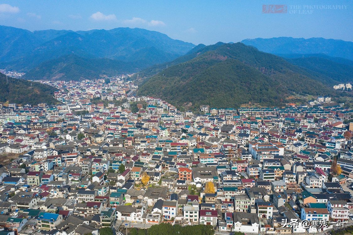 千年古镇的狗选美大赛,千年古镇一场狗狗大赛