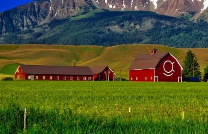 一个家家都是“亿元户”的非洲穷国——津巴布韦