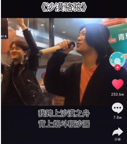 沙漠骆驼是抄袭还是解约,沙漠骆驼涉嫌抄袭