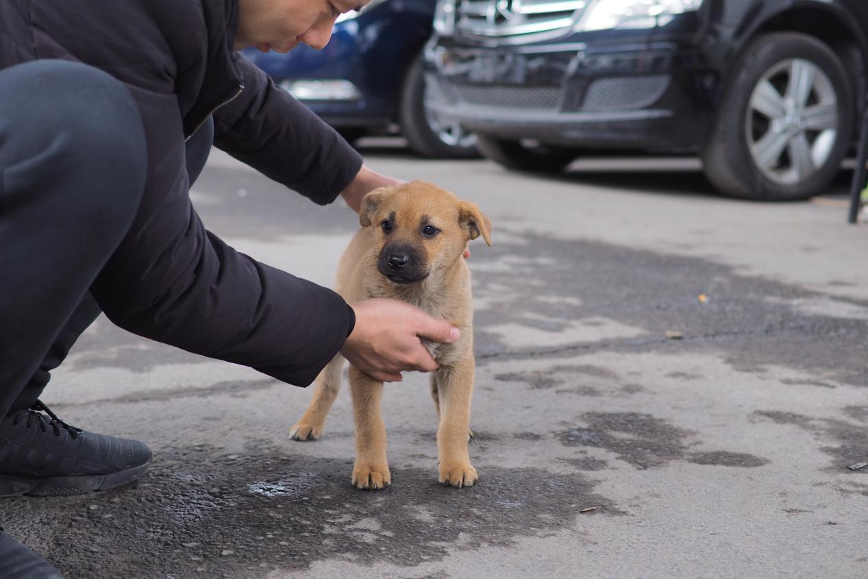 诺总笔记,诺总旅行记