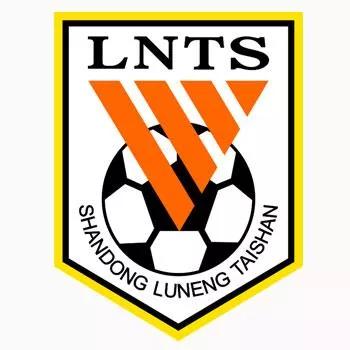 中国足球职业化排名,深度分析中国足球发展之路