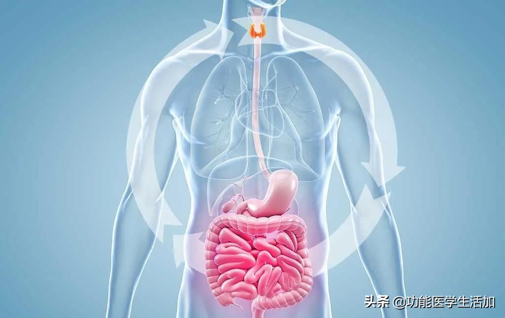 甲状腺疾病的预防和治疗,甲状腺疾病怎么治疗预防