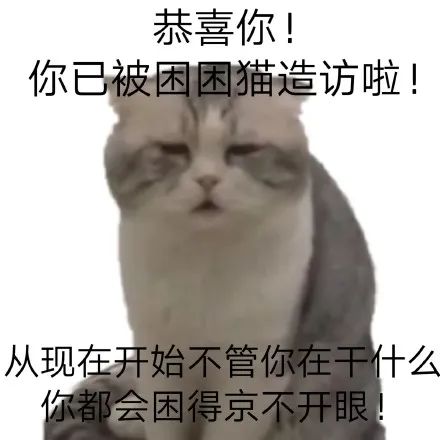 贴吧是什么时候开始有的,贴吧从什么时候开始衰退