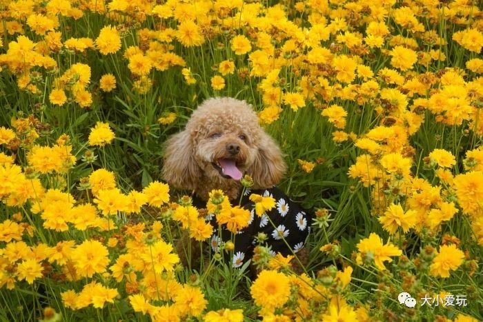 亲子游玩地点推荐北京亦庄,亦庄周末带娃好去处