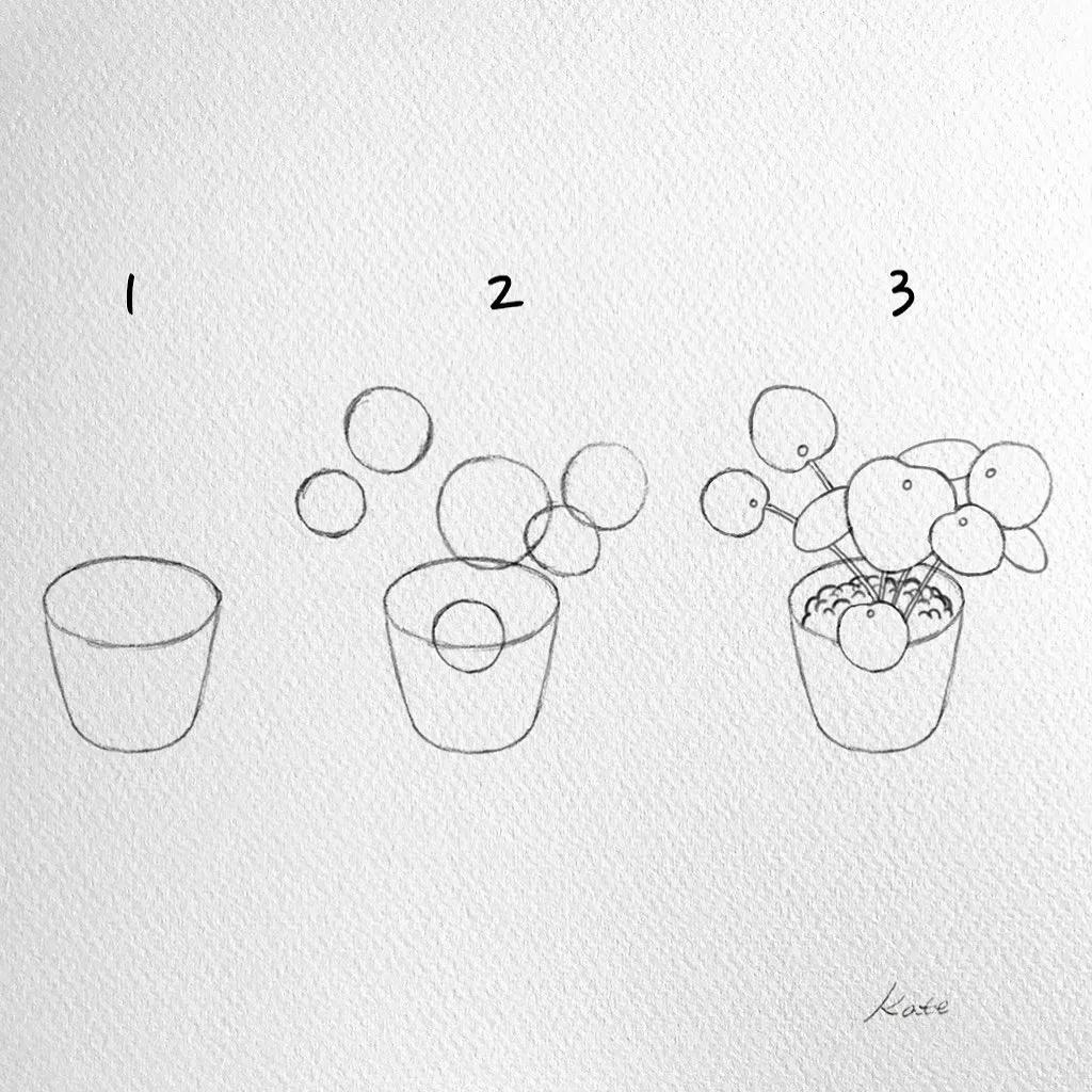 一分钟教你简单画花,简单的花卉图教程