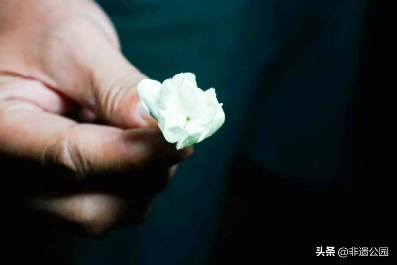 福州茉莉花茶窨制时间多久,福州茉莉花茶多少度水合适