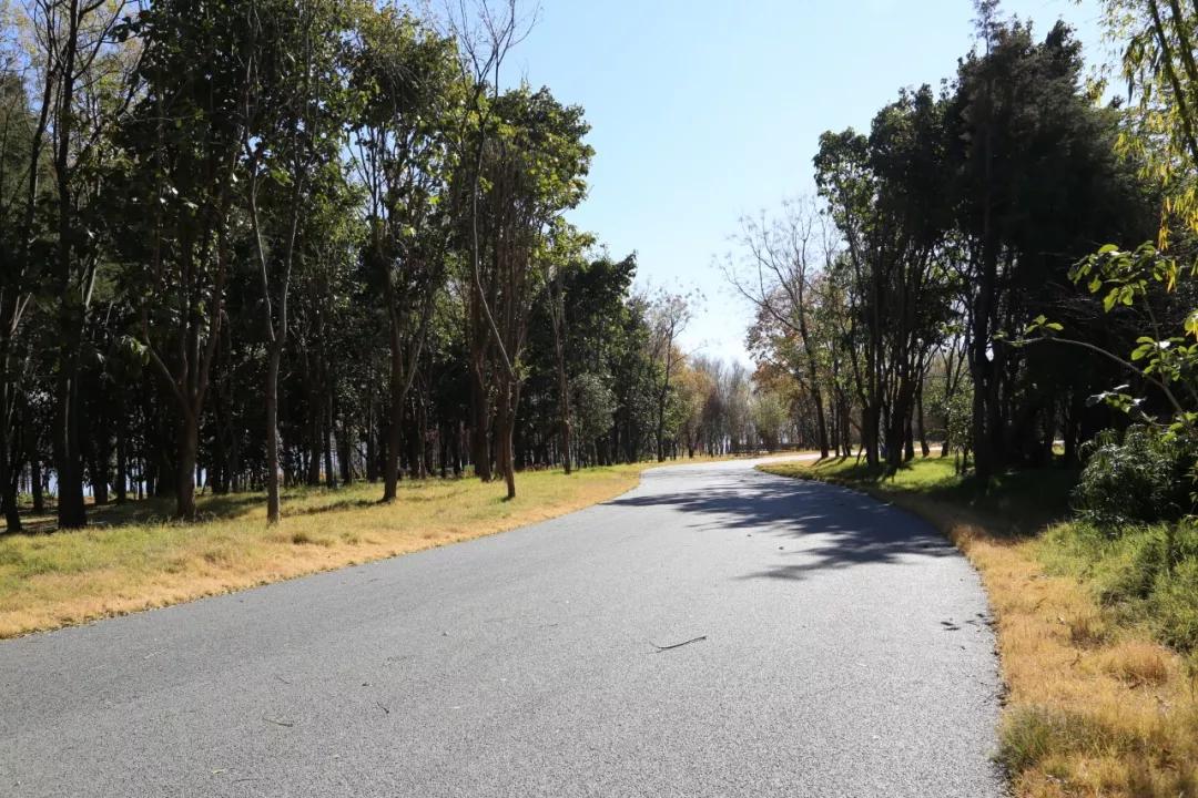 环海西路何时开工,环海路开放时间