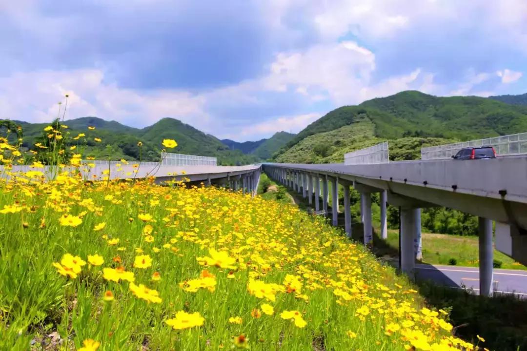 丹东沿海干净小岛旅游攻略,丹东旅游特色美食攻略图