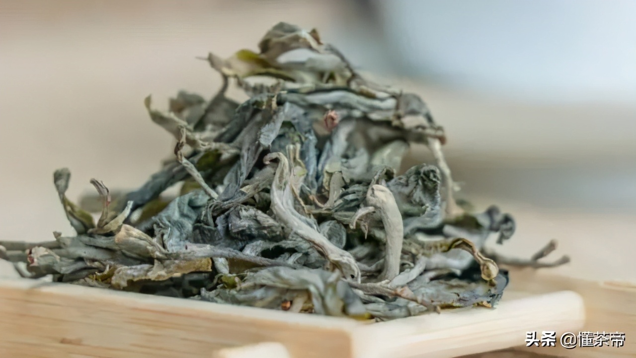 在云南的古树茶有哪些种类,云南最出名的十大古树茶