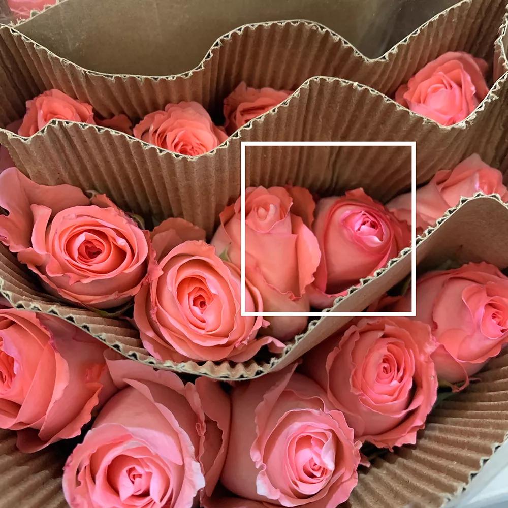 网上买东西怎么交智商税,网上买的智商税产品