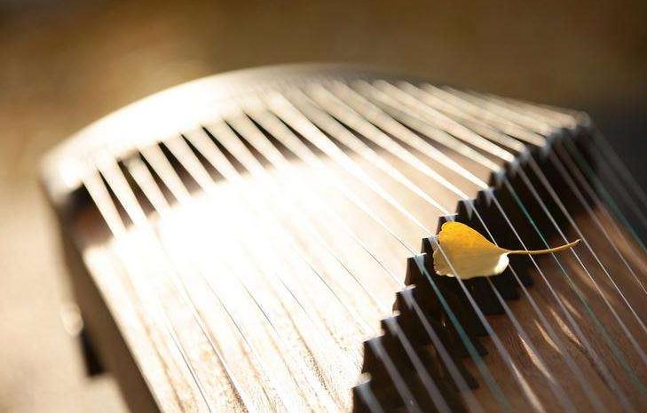 零基础学习古筝一年达到什么水平,怎样引导孩子学习古筝