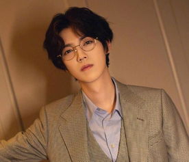 流量明星,实力明星鹿晗