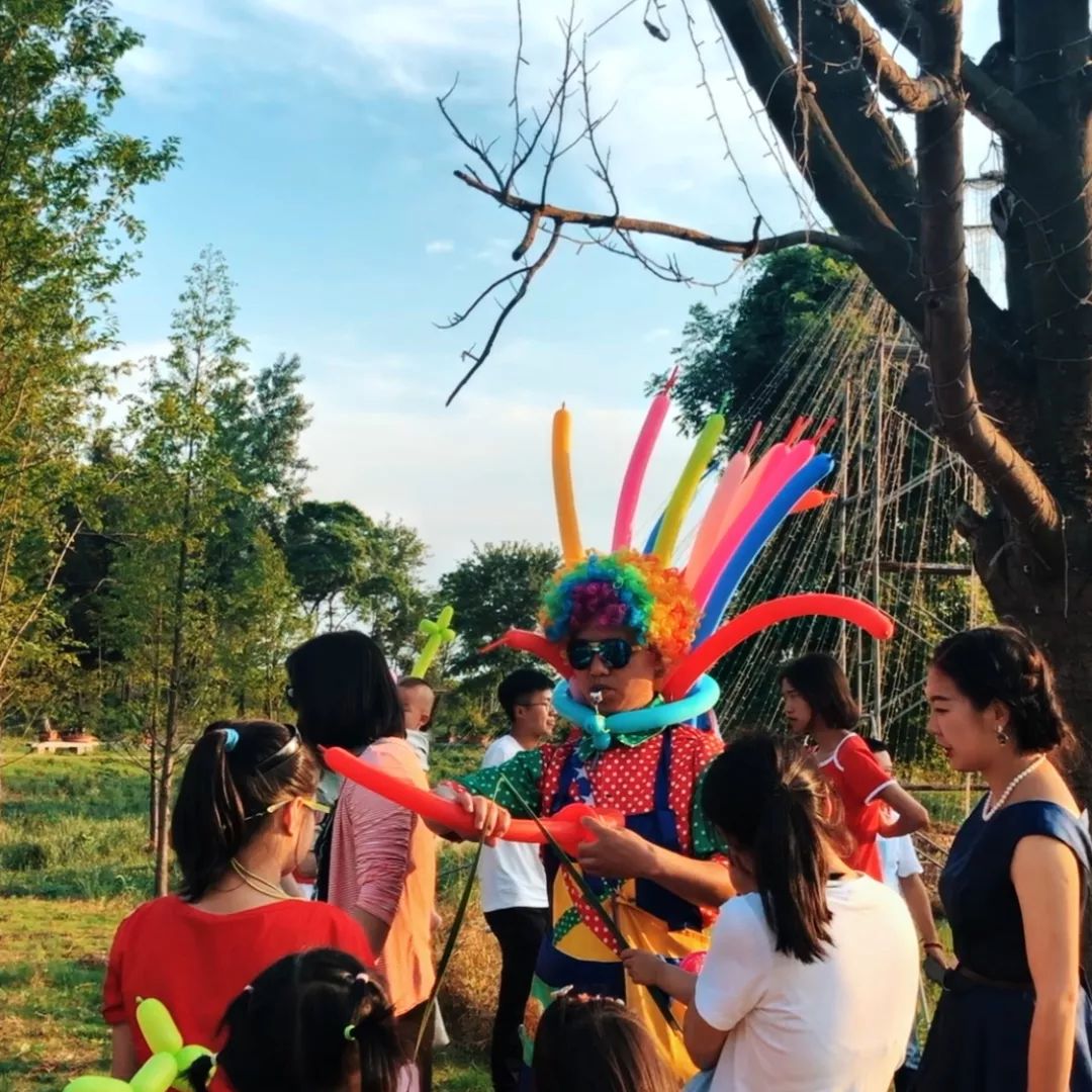 紫薇园宿州露营音乐节,中华紫薇园露营