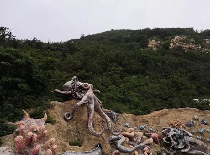 大连行程攻略,大连旅行攻略详细路线推荐图