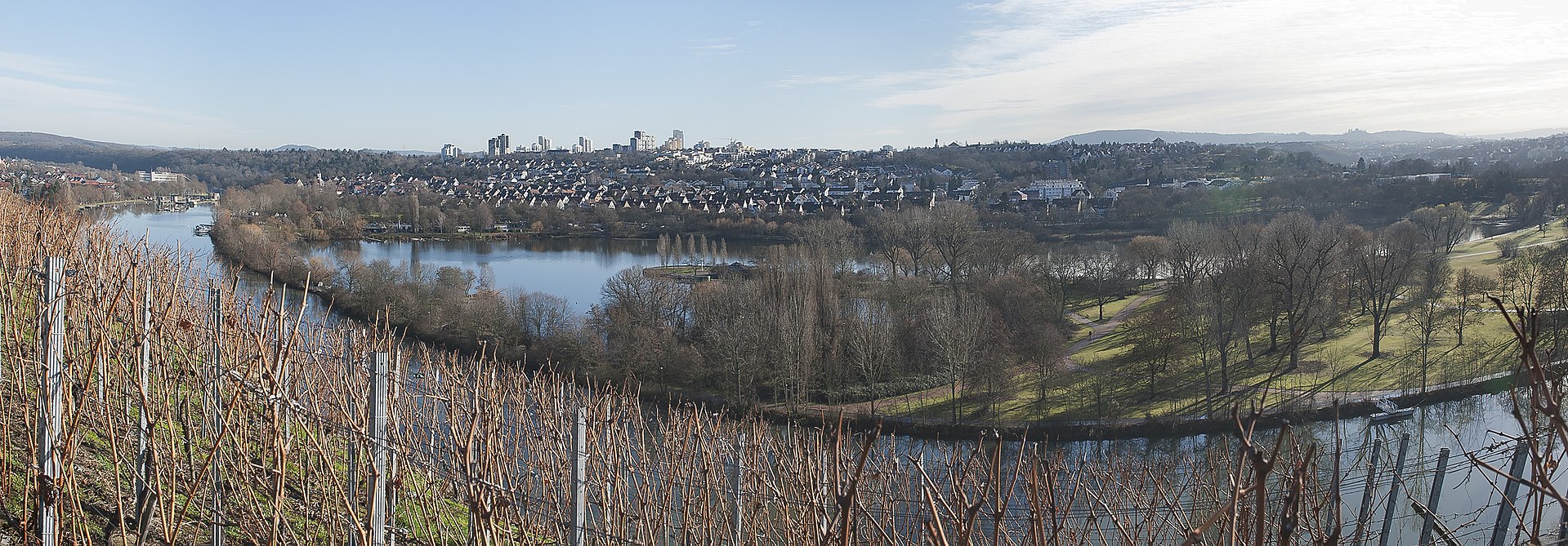 青蛙头的车叫什么车,青蛙形状的车