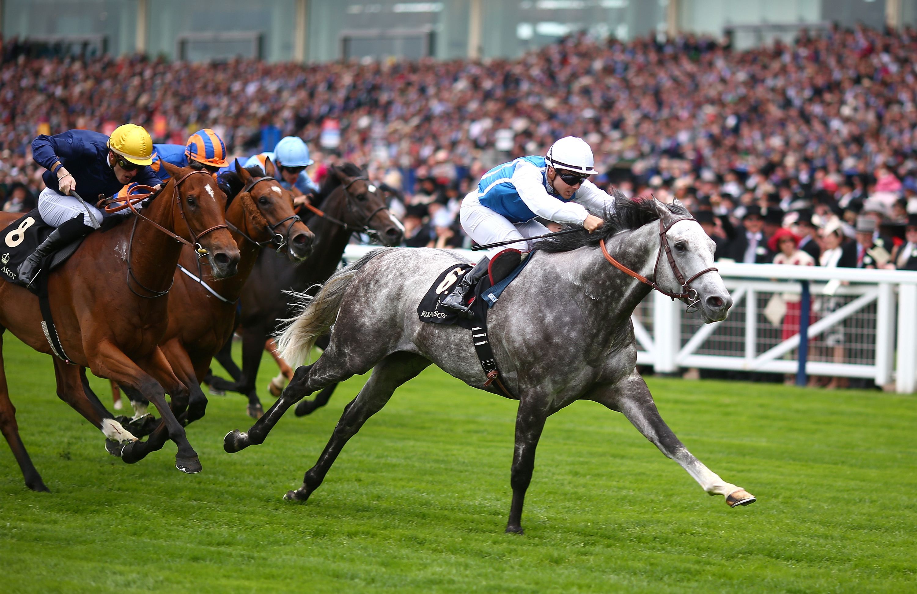 现代赛马运动,世界最近赛马运动