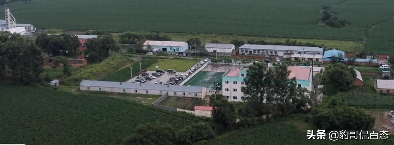 德云斗笑社第二季第四期梦回童年游戏大战笑死个人