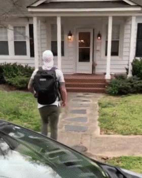 养什么狗好不爱叫,养什么狗不拆家不生病