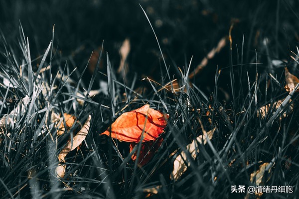 银狐洞风景区旅游路线攻略,游银狐洞