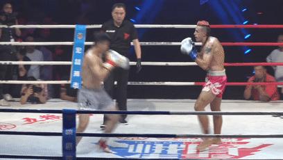 散打介绍简短文字,散打文章