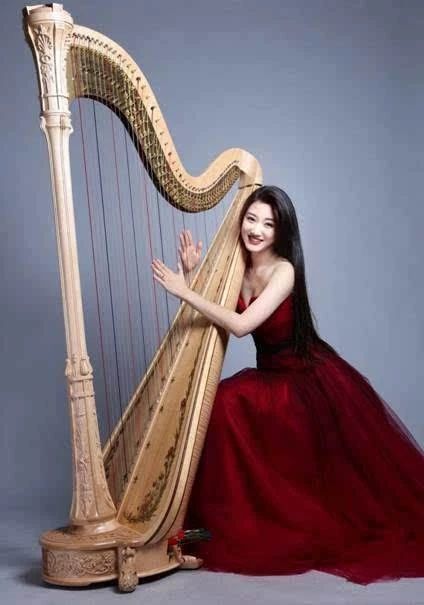 十大最容易上手乐器,最有气质的十大乐器