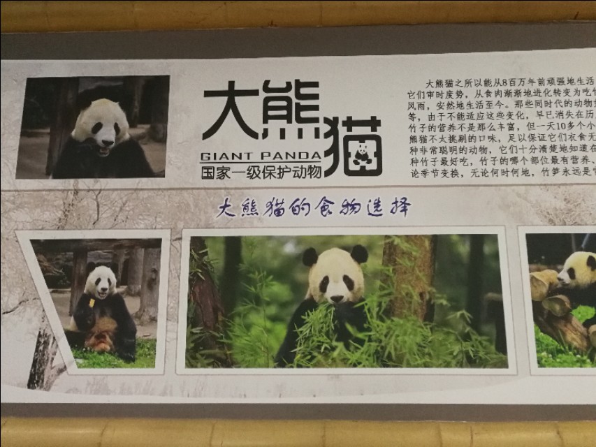 南京江宁区紫清湖温泉度假酒店,南京江宁紫清湖温泉度假村