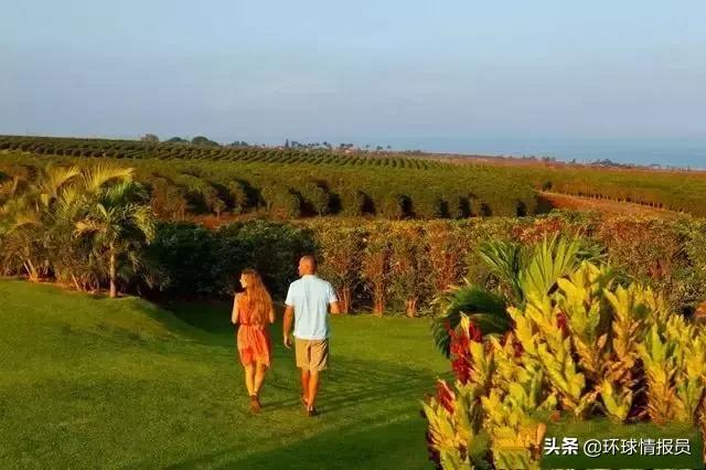 夏威夷距离美国本土3700公里,夏威夷离中国福建省多远