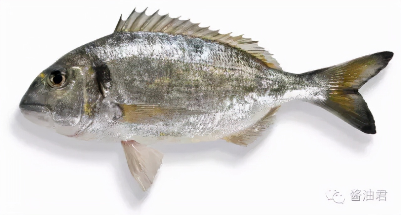 欧洲超市的鱼是活的吗,欧洲超市常见海鲜